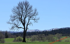 Krajobraz